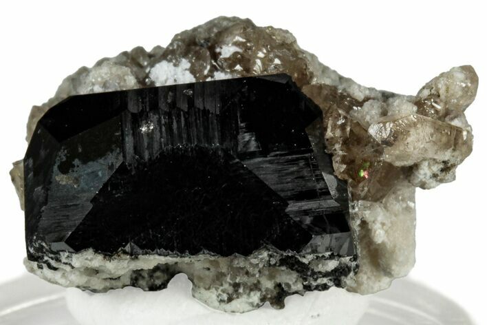 Lustrous Bixbyite on Champagne Topaz - Utah #309315